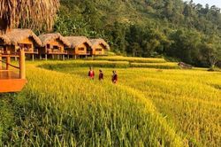 Chênh chao dòng đời