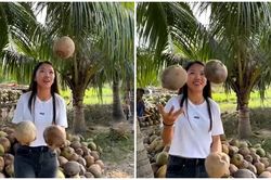 Kỷ lục gia Huỳnh Như hóa nghệ sĩ xiếc tung hứng dừa cực đỉnh