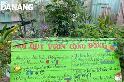 Biến khu đất trống thành vườn cộng đồng