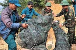 Quả bom 120 kg nguyên kíp nổ trong vườn nhà dân