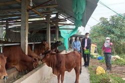 Thái Bình bảo đảm 100% hộ nghèo, cận nghèo đủ điều kiện được tiếp cận nguồn vốn chính sách