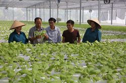 Sửa đổi Luật HTX cần tạo điều kiện thu hút thành viên