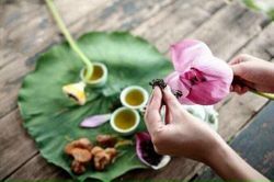 Đậm đà hương vị trà sen (ngày 27/02/2023)