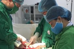 Bác sĩ Vang đuổi 'ma rừng'