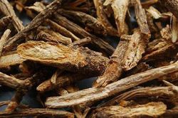 4 bài thuốc phòng và trị hen phế quản