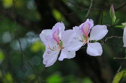 Thời tiết ngày 28/2/2023: Nhiệt độ thấp nhất ở miền Bắc tăng dần lên