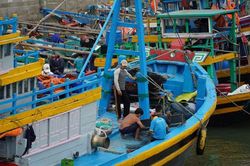 131 tàu cá Bình Thuận mắc kẹt ở quần đảo Trường Sa kêu cứu vì thiếu lương thực, nước uống