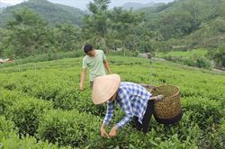 Việt Nam nỗ lực giảm nghèo đa chiều, nhưng phía trước vẫn còn nhiều thách thức