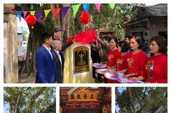 Vĩnh Phúc: Hai cây đa 2 cổ thụ trong khuôn viên đình Ngọc Liễn được công nhận cây di sản Việt Nam
