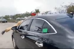 Sau các vụ hất Cảnh sát giao thông lên nắp capo: Cần tăng thêm quyền cho lực lượng làm nhiệm vụ