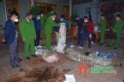Thái Nguyên: 36 tháng tù giam cho đối tượng nấu cao hổ tại nhà