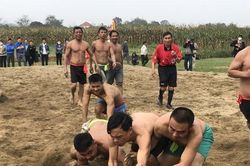 Kịch tính những pha tranh quả cù nặng cả yến của trai làng lực lưỡng