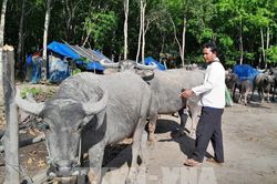 Nhiều chính sách hỗ trợ phù hợp giúp bà con vùng biên thoát nghèo bền vững