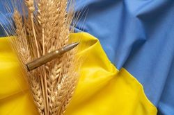 Xung đột Nga - Ukraine và tình trạng thiếu lương thực trên thế giới