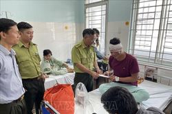 Truy bắt các nghi can chém trọng thương 3 kiểm lâm Vườn Quốc gia Cát Tiên