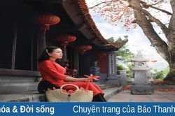 Hoa gọi nắng