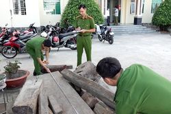 Bắt điểm tập kết gỗ nghi vấn nhập lậu trên khu vực biên giới An Phú
