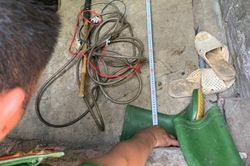 Chồng ghen tuông chích điện vợ