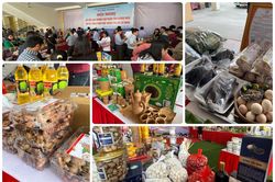 Tìm đầu ra cho sản phẩm mang thương hiệu Quảng Ngãi