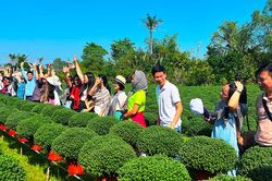 Bến Tre tăng cường quảng bá, xúc tiến du lịch