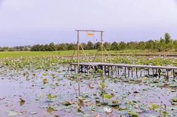 Lạc lối trong 'khu sinh thái' rộng hơn 10.000m2 của đại gia Cần Thơ