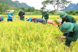Nghĩa tình người lính Biên phòng