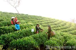 Đại Từ đánh thức tiềm năng du lịch
