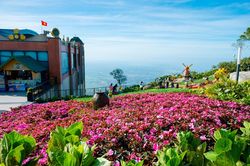 Vượt qua nhiều điểm đến tâm linh, Núi Bà Đen được tìm kiếm hàng triệu lượt trên google mỗi tháng