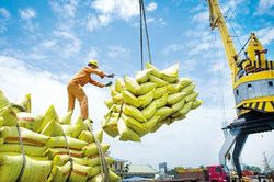 Gạo Việt vẫn được giá với triển vọng khả quan trong xuất khẩu