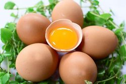 Ăn trứng gà tuyệt đối không làm điều này để phòng cúm A/H5N1