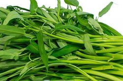 Loại rau vài nghìn/mớ ở Việt Nam sang nước ngoài giá siêu đắt, đếm từng cọng