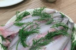 Cá Cháo - Đặc sản biển ngang mùa cá bấc