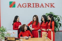 Dấu ấn nữ đoàn viên - người lao động Agribank