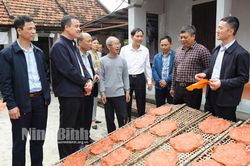 Khảo sát, xây dựng thí điểm mô hình du lịch nông thôn tại xã Khánh Thiện