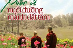 Xuân về nuôi dưỡng mảnh đất tâm
