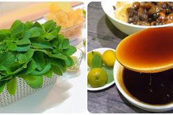 Cách làm húng chanh đường phèn trị ho cho trẻ