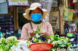 Hương hoa bưởi dịu dàng qua từng góc phố Thủ đô
