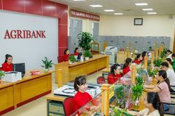 Ngân hàng có vốn nhà nước lãi suất thấp nhưng vì sao dân vẫn 'ùn ùn' gởi tiền?
