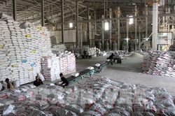 Giá gạo xuất khẩu tăng gần 10%
