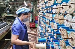 Cổ phiếu của công ty Dệt lưới Sài Gòn (SFN) bị đưa vào diện kiểm soát