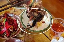Ăn gần hết nồi lẩu phát hiện chuột chết bên trong, thực khách gọi cảnh sát