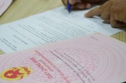 Không có quy định hạn chế độ tuổi người đứng tên sổ đỏ