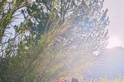 Dalat Ultra Trail qua camera Xiaomi 13 Pro