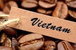 Giá cà phê hôm nay 7/3/2023: Thị trường tăng giảm trái chiều, áp lực từ nguồn cung; Bộ trưởng Nông nghiệp nói về thương hiệu cà phê Việt?