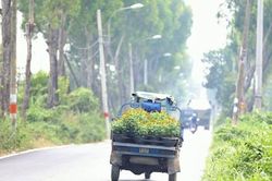 Tránh phát triển đô thị ngoại thành TPHCM theo 'vết dầu loang', tự phát