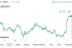 Tỷ giá USD hôm nay 8/3: Đồng Đôla tăng mạnh trước tín hiệu Fed có thể tăng lãi suất thời gian tới