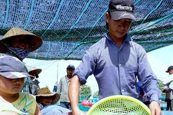 Ngành tôm nâng cao giá trị bền vững