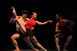 Sự kết hợp độc đáo giữa nghệ thuật múa ballet và tranh dân gian Đông Hồ