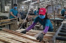 Việt Nam là thị trường cung cấp đồ nội thất bằng gỗ lớn thứ 4 cho Canada