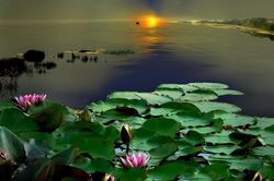 Oán gia không muốn kẻ thù sinh vào cõi lành
